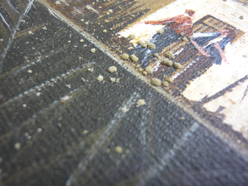 Watercolour, mould reduced